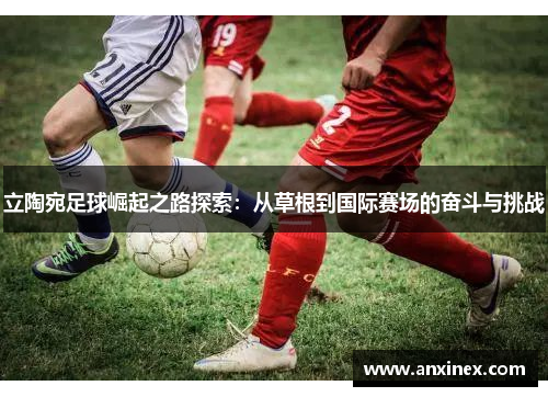 立陶宛足球崛起之路探索：从草根到国际赛场的奋斗与挑战