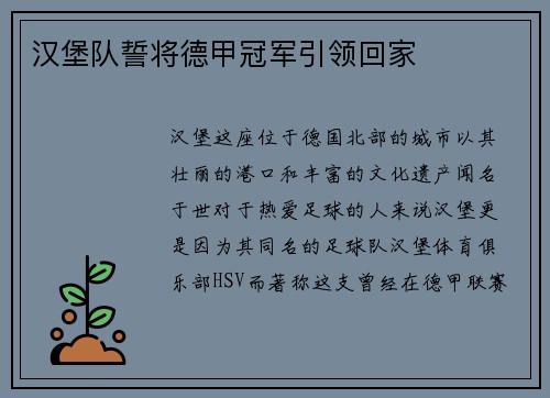 汉堡队誓将德甲冠军引领回家