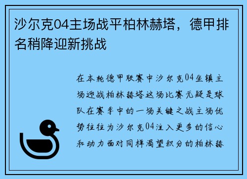 沙尔克04主场战平柏林赫塔，德甲排名稍降迎新挑战