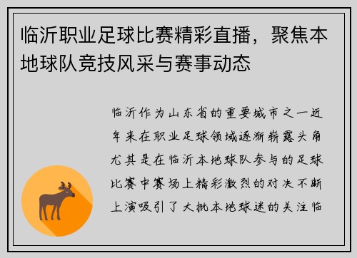 临沂职业足球比赛精彩直播，聚焦本地球队竞技风采与赛事动态